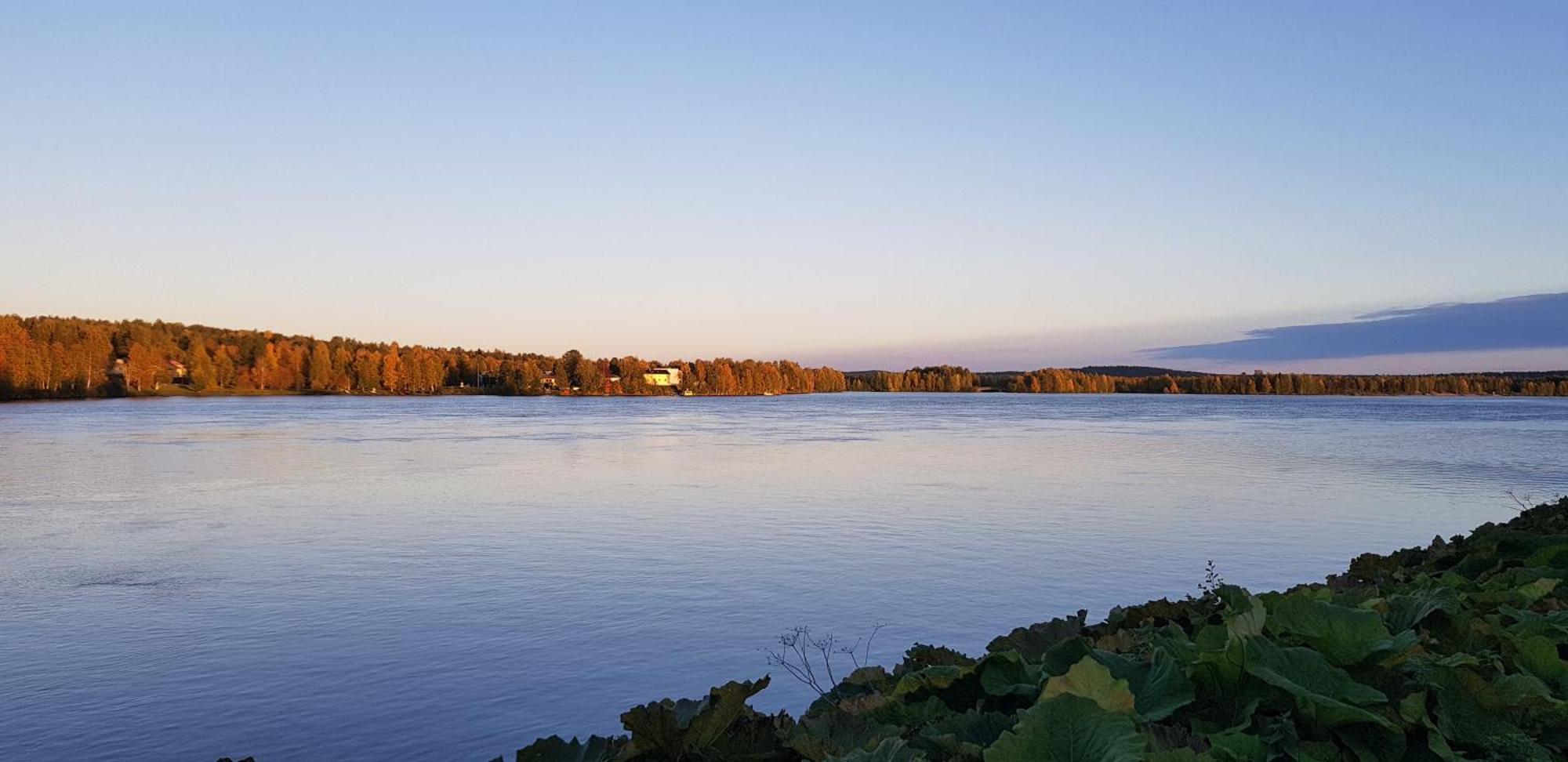 Huoneisto Kismet